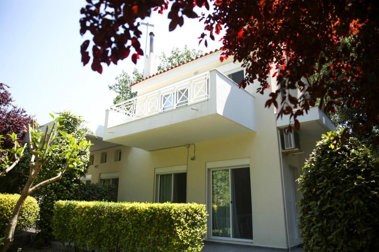 אורמוס פנגיאס Villa Elena מראה חיצוני תמונה