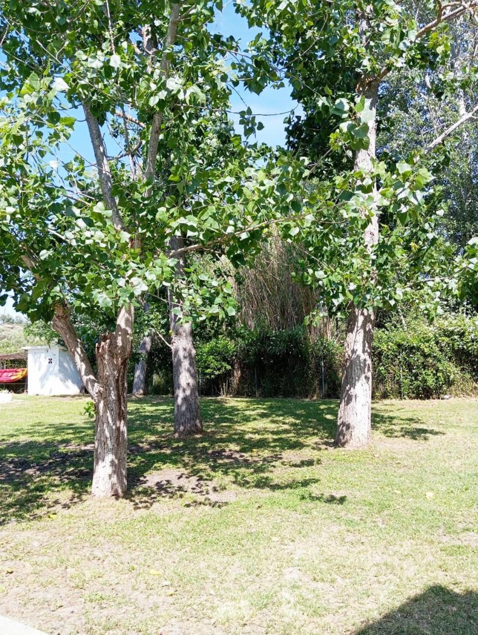 אורמוס פנגיאס Villa Elena מראה חיצוני תמונה